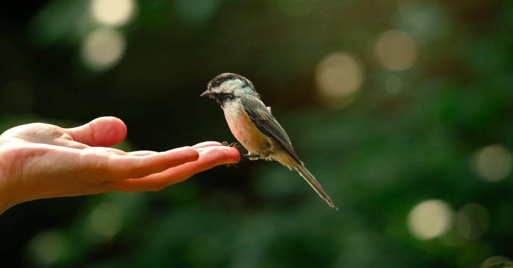 Trust